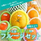 フルーツ王国和歌山の フルーツセット