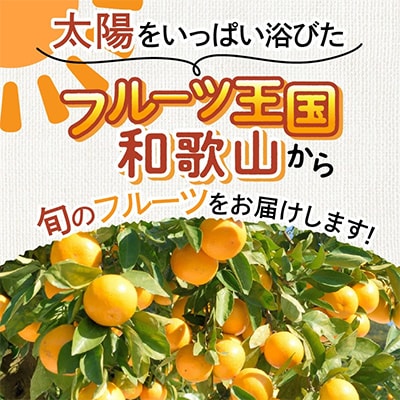 フルーツ王国和歌山の フルーツセット