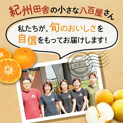 フルーツ王国和歌山の フルーツセット
