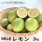 和歌山産レモン/グリーンレモン 約3kg