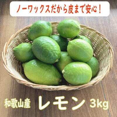 和歌山産レモン/グリーンレモン 約3kg