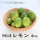 和歌山産レモン/グリーンレモン 約4kg