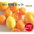 柑橘詰め合わせセット 家庭用4種以上 約7kg 和歌山産