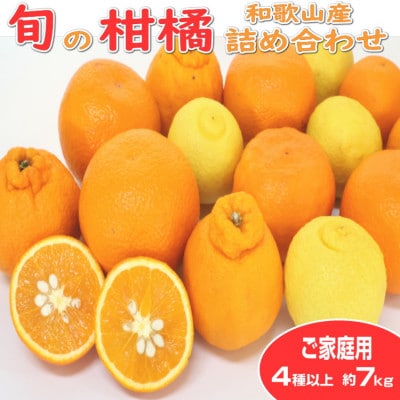 柑橘詰め合わせセット 家庭用4種以上 約7kg 和歌山産 | 和歌山県