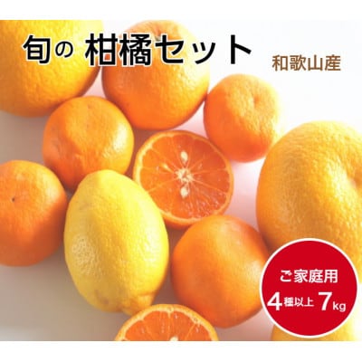 柑橘詰め合わせセット 家庭用4種以上 約7kg 和歌山産