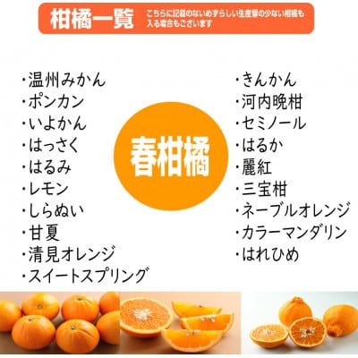 柑橘詰め合わせセット 家庭用4種以上 約7kg 和歌山産
