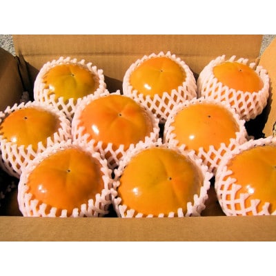 富有柿 3.5kg(13～17個)和歌山産