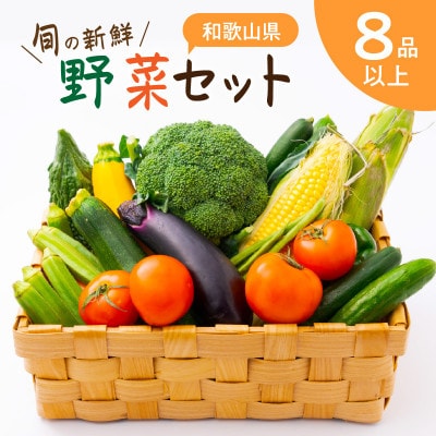 旬の新鮮野菜セット8種以上【野菜詰め合わせ】