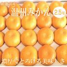 「濃厚な味のとろける美味しさ」温州みかん 2.5kg
