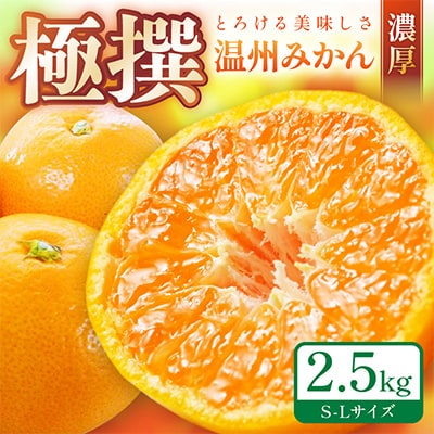 「濃厚な味のとろける美味しさ」温州みかん 2.5kg