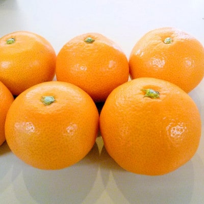 「濃厚な味のとろける美味しさ」温州みかん 2.5kg