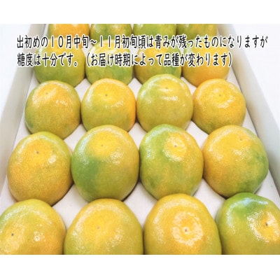 「濃厚な味のとろける美味しさ」温州みかん 2.5kg