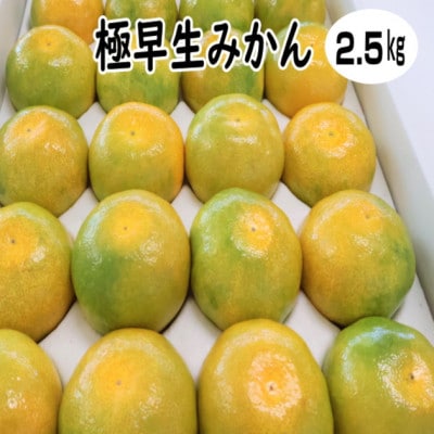 極早生みかん 約2.5kg 和歌山産 甘酸っぱいミカン