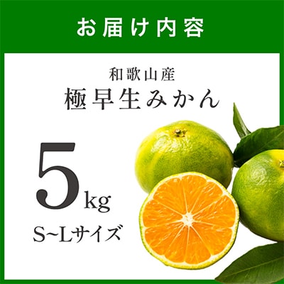 極早生みかん 5kg 和歌山産 甘酸っぱいミカン