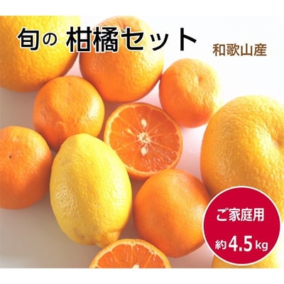 柑橘詰め合わせセット 家庭用4種以上 約4.5kg 和歌山産
