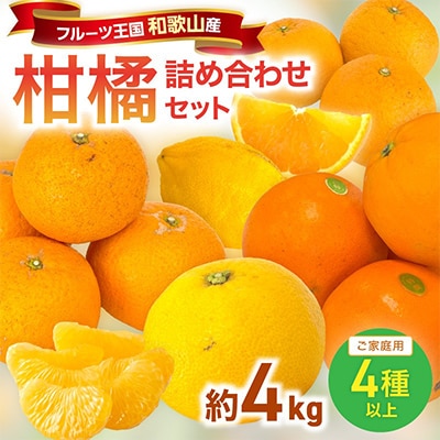 柑橘詰め合わせセット 家庭用4種以上 約4kg 和歌山産