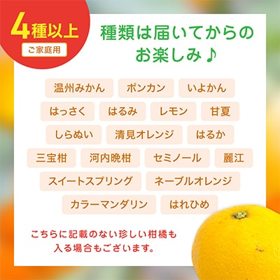 柑橘詰め合わせセット 家庭用4種以上 約4.5kg 和歌山産