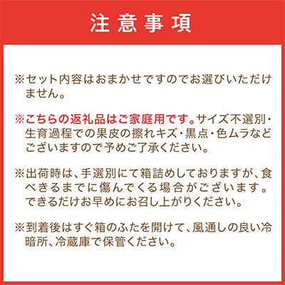 柑橘詰め合わせセット 家庭用4種以上 約4.5kg 和歌山産