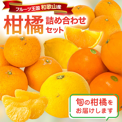 柑橘詰め合わせセット 家庭用4種以上 約4.5kg 和歌山産