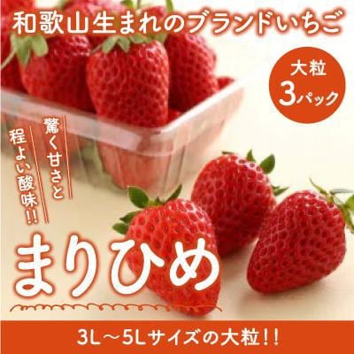 【2026年1月より順次発送】和歌山生まれのいちご【まりひめ】大粒3パック