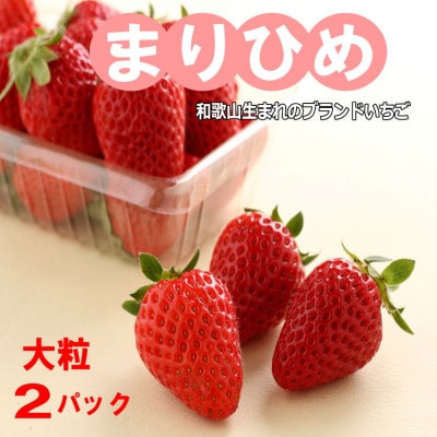 【2026年1月より順次発送】和歌山生まれのイチゴ(まりひめ)大粒2パック