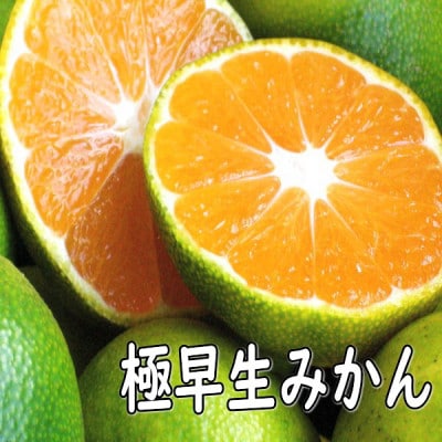 極早生みかん 約10kg (ご家庭用) 和歌山産