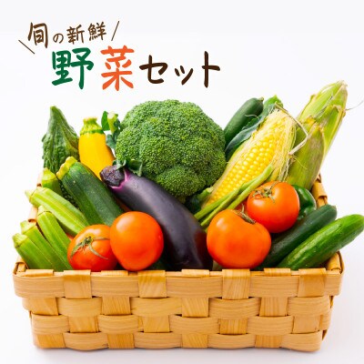 【発送月固定定期便】旬の新鮮野菜セット8種以上【野菜詰め合わせ】全12回