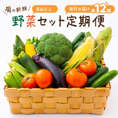 【発送月固定定期便】旬の新鮮野菜セット8種以上【野菜詰め合わせ】全12回