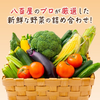 【発送月固定定期便】旬の新鮮野菜セット8種以上【野菜詰め合わせ】全12回