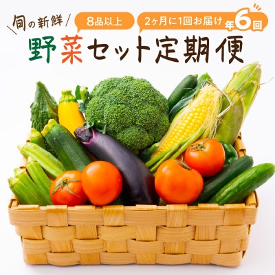 【発送月固定定期便】旬の新鮮野菜セット8種以上 奇数月にお届け【野菜詰め合わせ】全6回