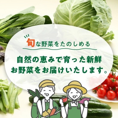 【発送月固定定期便】旬の新鮮野菜セット8種以上 奇数月にお届け【野菜詰め合わせ】全6回