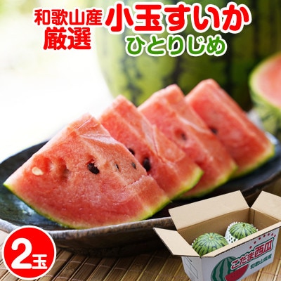 小玉スイカ(ひとりじめ)厳選2玉セット 和歌山県産