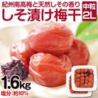 しそ漬け梅干し 1.6kg(紀州南高梅)中粒 2L 和歌山県産