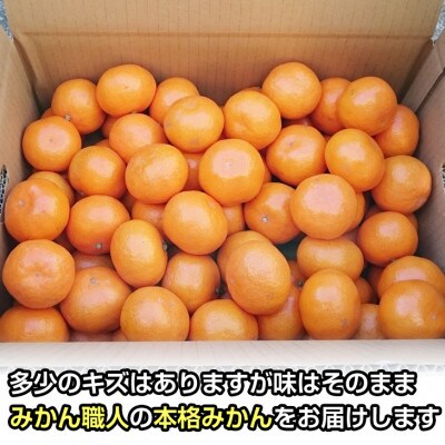 濃厚完熟 温州みかん 小粒スイート 5kg(小玉) 和歌山のミカン職人が作る本格みかん