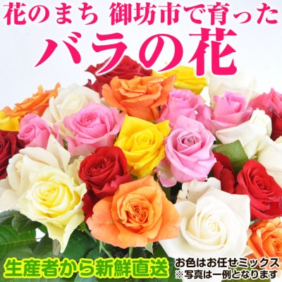 バラの花 約20本(ミックス色)生産者から新鮮直送