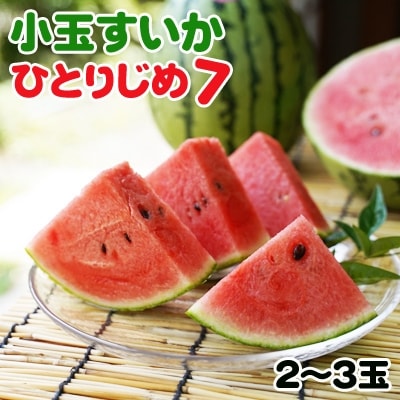 和歌山産小玉すいか　ひとりじめ(2～3玉)
