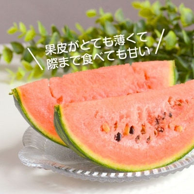 和歌山産小玉すいか　ひとりじめ(2～3玉)