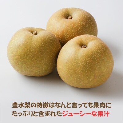 旬の美味しさをお届け!豊水(梨)たっぷり4kg(9～12玉)