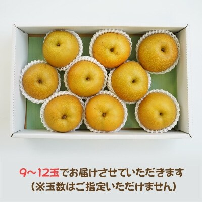 旬の美味しさをお届け!豊水(梨)たっぷり4kg(9～12玉)
