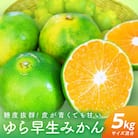 極早生みかん「ゆら早生みかん」5kg(赤秀/2S・Sサイズ混合)
