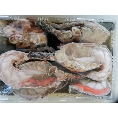 地元産 冷凍伊勢海老カット(大)1kg