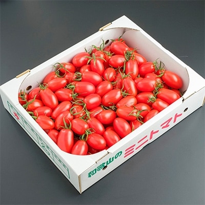 ミニトマト (アイコ)2kg