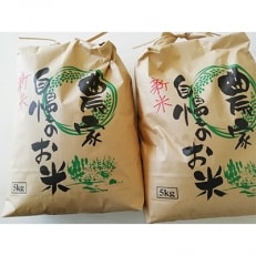 きぬひかり10kg | ふるさと納税のお礼品
