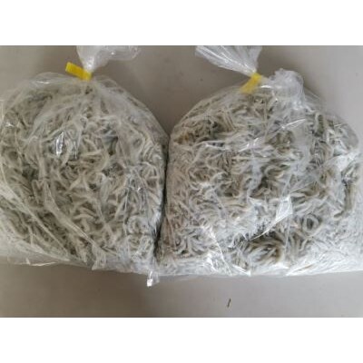 釜揚げしらす約2kg袋入(約1kg袋×2)