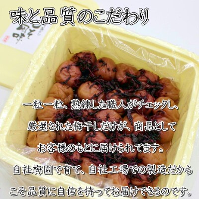紀州南高梅　しそ梅(塩分15%)10kg