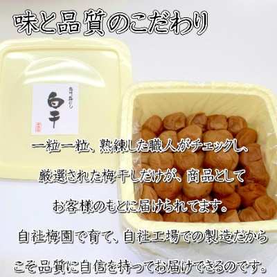 紀州南高梅　白干梅(塩分15%)10kg