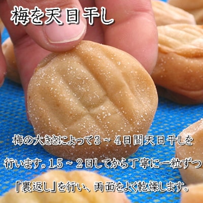 紀州南高梅　うす味梅干(塩分8%)　1.5kg