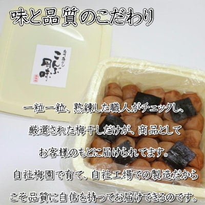 紀州南高梅　こんぶ風味(塩分8%)　10kg