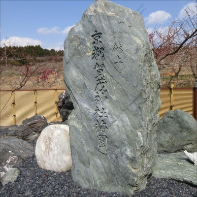 紀州南高梅　薬師梅『蜜』はちみつ味(塩分約8%)　800g