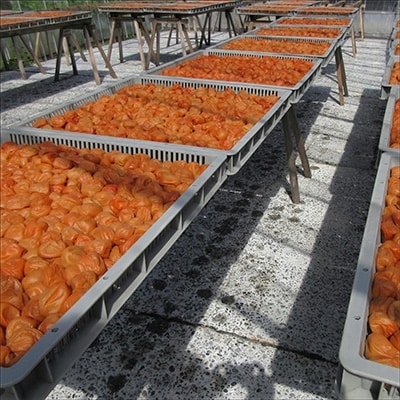 贈答用 木箱入り梅干し うすしお味10粒はちみつ味10粒